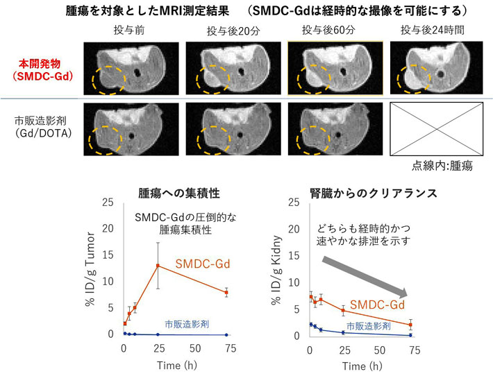 図3 本開発物のMRI測定結果と市販製剤と比較した場合の腫瘍集積ならびに腎クリアランス（CT26大腸がん皮下移植モデルマウスを使用） 