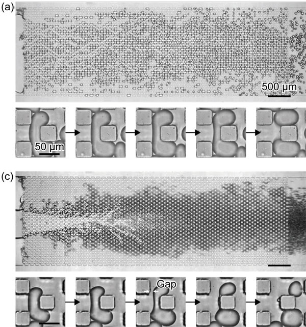 図2 （上）低流量で見られる立体障害モードでの液滴分裂 （下）高流量で見られるせん断モードでの液滴分裂 