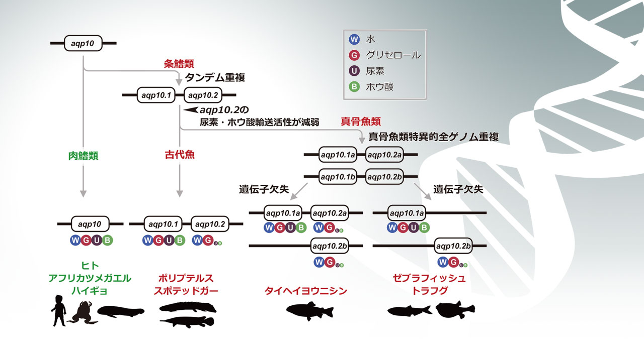書籍検索 - 株式会社東京化学同人