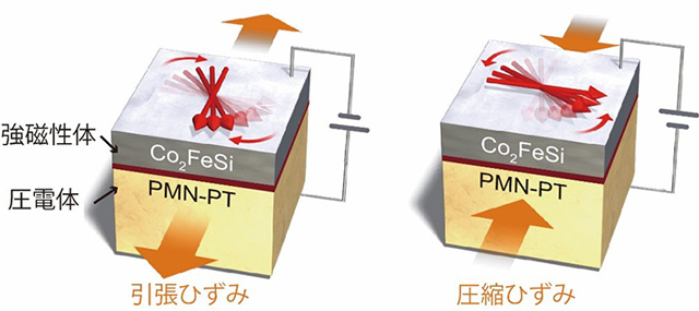 界面マルチフェロイクス構造と磁化の向きやすさの制御