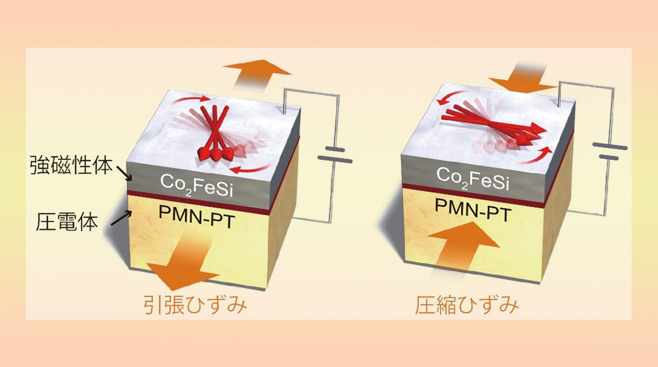 スピントロニクス界面マルチフェロイク材料の開発指針を提示