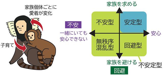 子は家族個体それぞれの子育てスタイルに応じて愛着を柔軟に変化させる