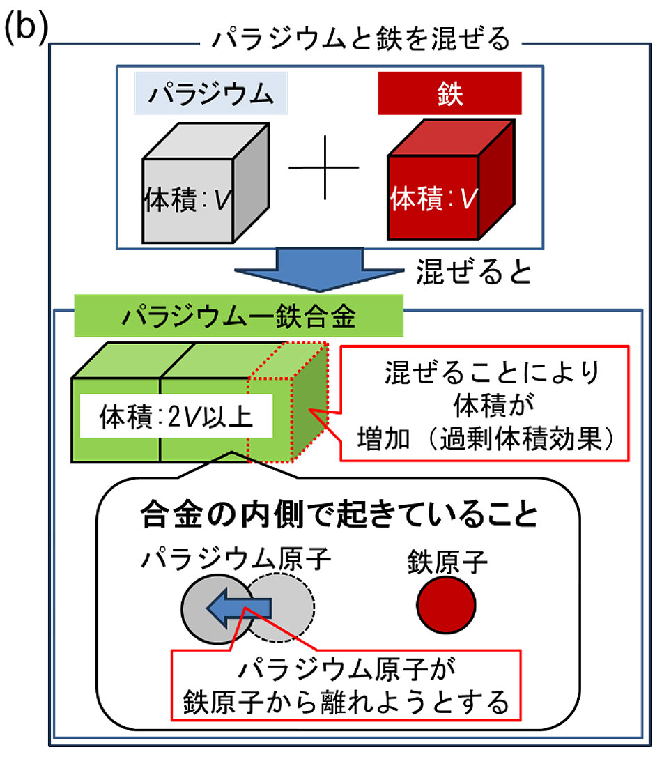 （b）パラジウムと鉄原子を混ぜる場合：混ぜることにより体積が増加する（過剰体積効果）。合金内のパラジウム原子の原子同士を引き付ける力（金属結合）が弱体化し、パラジウム原子が鉄原子から離れようとする。これにより体積が増加する。