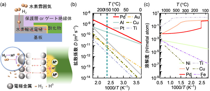 図1 内部接触界面の問題を解決する戦略。 （a）水素輸送電極の水素解離触媒能を用いた、高活性原子状水素と酸化物の反応の模式図。（b, c）金属中の水素の拡散係数および水素溶解度の実験値。Pdの高い水素拡散能と適度な溶解度が活性水素の高速輸送を可能とする。