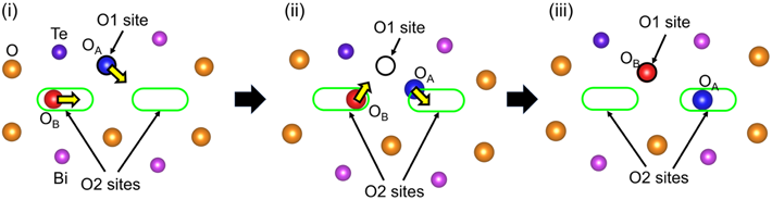 図7. 第一原理分子動力学（AIMD）シミュレーションにより調べた酸化物イオンの拡散と局所的なダイナミクスを示すスナップショット。経過時間： (i) 0 fs, (ii) 80 fs, (iii) 280 fs。©著者ら（2024）