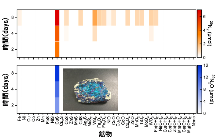 図2 37種類の鉱物を用いたアナモックス反応触媒のスクリーニング 