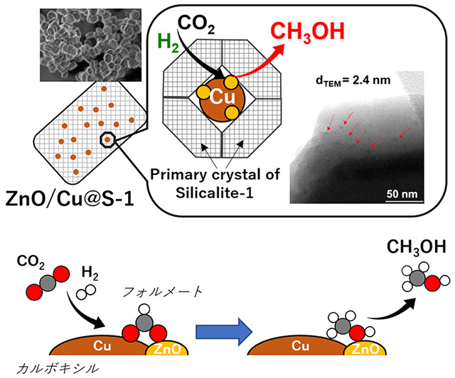図1 Cu-ZnO触媒：Cu-ZnO界面ではフォルメート種の形成とメタノール生成が優位に進行する。 