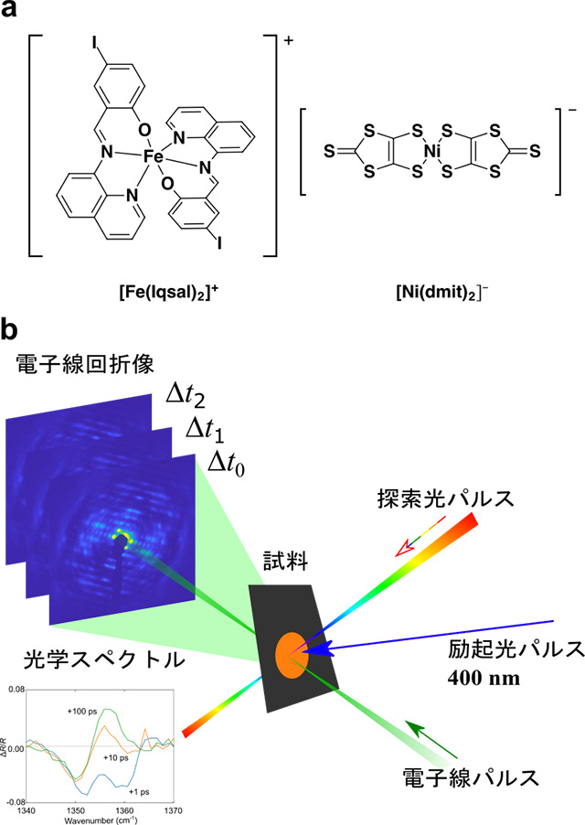図1. a.対象試料結晶を構成する[Fe(Iqsal)2]+カチオンと[Ni(dmit)2]−アニオンの分子構造。b.今回行った測定の概念図。励起光パルスで光励起することで発生した光誘起状態の性質を、励起光パルスと時間同期の取れた探索光パルスもしくは電子線パルスを用いて調べた。