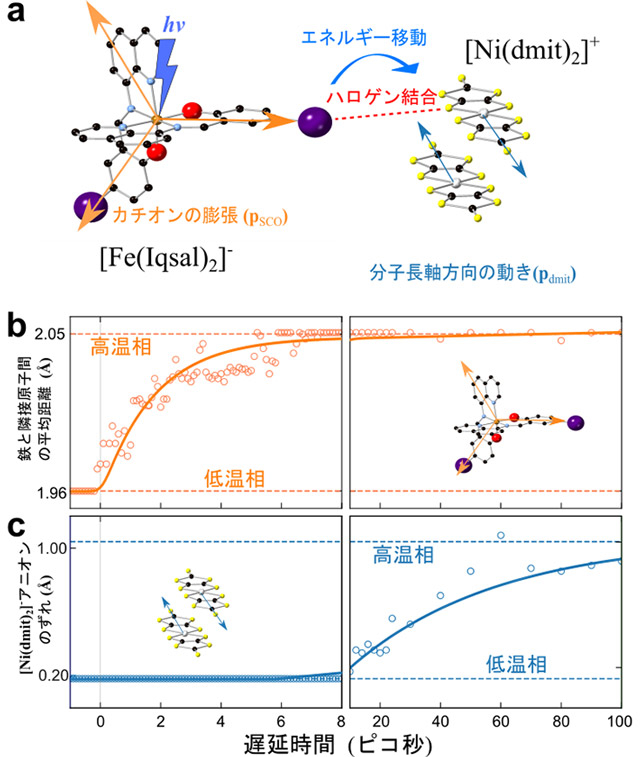 図2. 時間分解電子線回折で得られた光励起に伴う構造変化の様子。a.想定した構造変化パラメータの定義。左側の分子が[Fe(Iqsal)2]+カチオン。右側の分子が[Ni(dmit)2]−アニオン。b., c.解析によって得られたモデル構造内の特定の原子間距離の時間発展の様子。