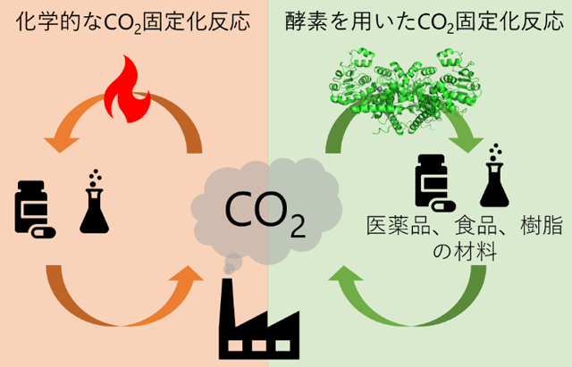図1 化学的なCO2固定化反応 vs 酵素を用いたCO2固定化反応