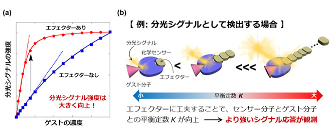図1 本研究の概要 