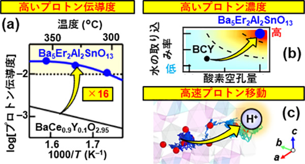 図1. Ba5Er2Al2SnO13の高いプロトン伝導度とその原因。 （a）Ba5Er2Al2SnO13のプロトン伝導度のアレニウスプロットと（b）Ba5Er2Al2SnO13の高い酸素空孔量と高い水の取り込み率および高いプロトン濃度。(c）第一原理分子動力学シミュレーションにより得られたBa5Er2Al2SnO13のプロトンの軌跡。[ErO6–ZrO6–ErO6] 八面体層においてプロトンが高速移動することを示している。（©著者ら、2024）