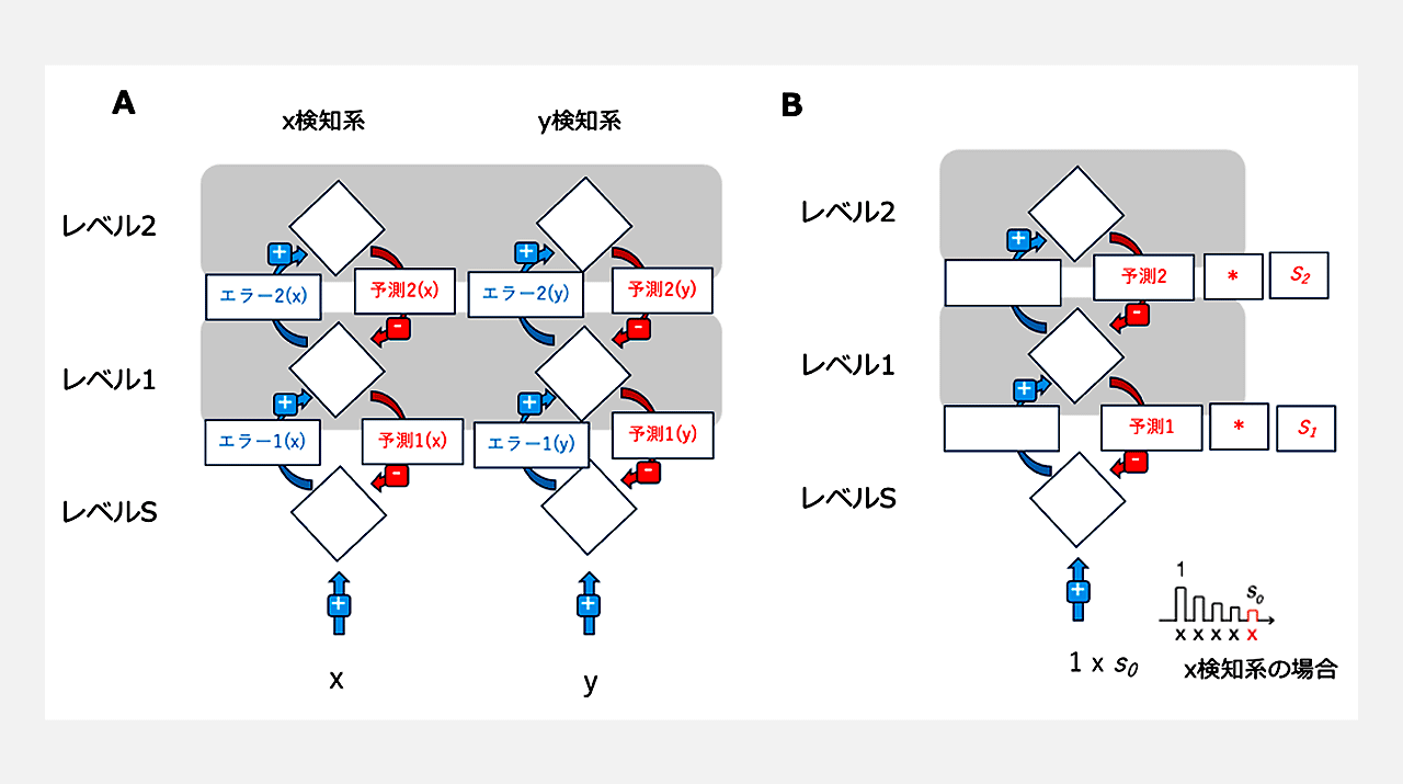 予測をうまくつかえない脳、自閉症の新たな発見 | 東工大ニュース