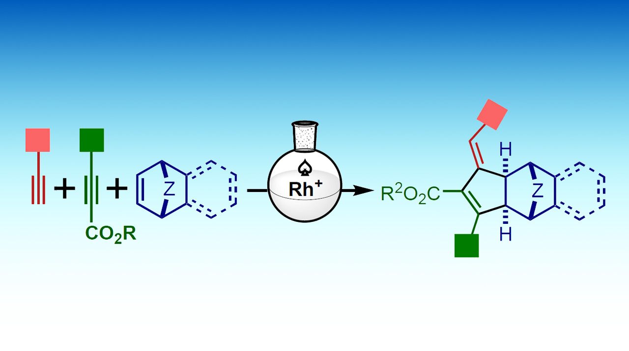 新実験化学講座 14 〔5〕 有機化合物の合成と反応 5 新実験化学講座 14 〔5〕 有機化合物の合成と反応 5 実験