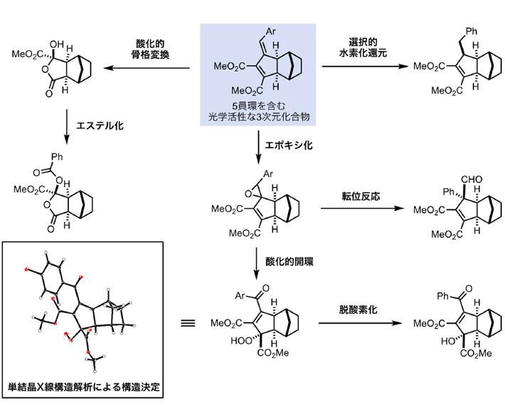 図3 5員環を含む光学活性3次元化合物の変換 