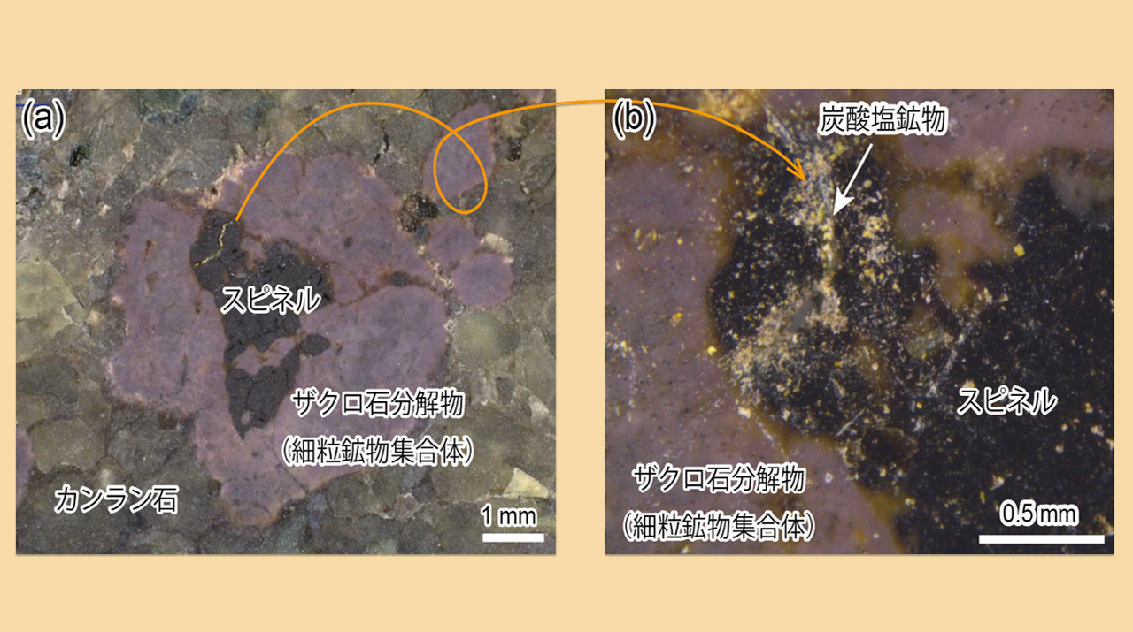 環境科学Ⅲ Amazon.co.jp: シリ-ズ〈緑地環境学〉 (3) (シリーズ〈緑地環境