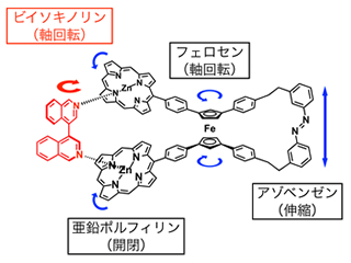 「分子で分子を動かす」ことに合成分子で初めて成功した「キラル分子ハサミ」