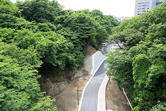 緑に囲まれた外周道路