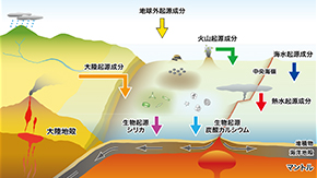 深海底のレアアース資源の生成条件を新たなデータ科学的手法により解明