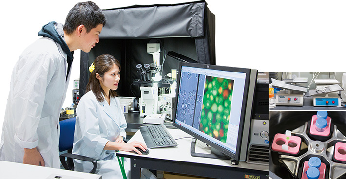 左：蛍光顕微鏡を使い、特定のタンパク質の細胞内での挙動を観察。右：シーソーのような動きで、ゲルなどの染色や脱色を行うシェーカー（振とう器）や、超高速で回転する遠心機（遠心分離機）などが、研究室のあちらこちらで稼働している。