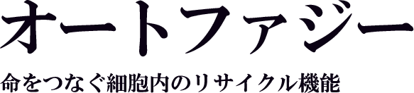 オートファジー　命をつなぐ細胞内のリサイクル機能