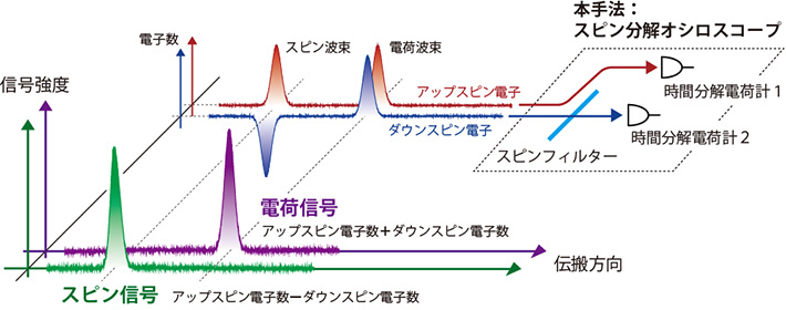 スピン分解オシロスコープによる電荷信号・スピン信号測定の概念図