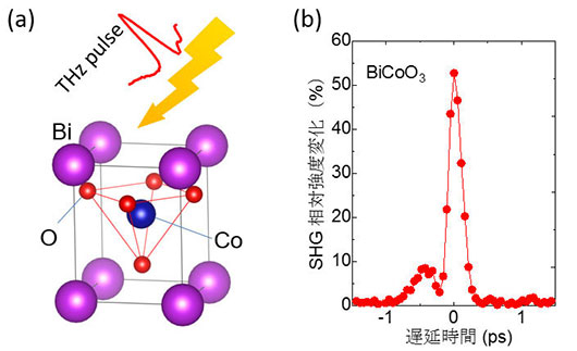 （a）極性構造を持つ酸化物セラミックスBiCoO<sub>3</sub>の結晶構造の模式図。（b）テラヘルツ電磁波を照射したときの試料から発生する第二次高調波（SHG）発生強度の増強の様子。