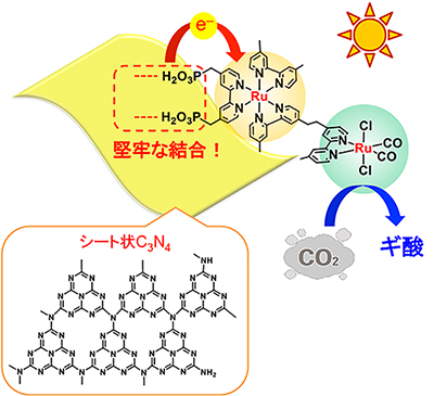 シート状C3N4とRu複核錯体を組み合わせた複合光触媒によるCO2還元