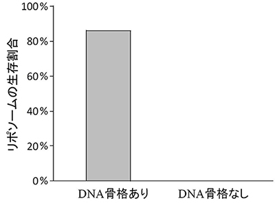 DNA骨格あり（左）となし（右）のリポソームに対し浸透圧変化を与えた際の生存割合
