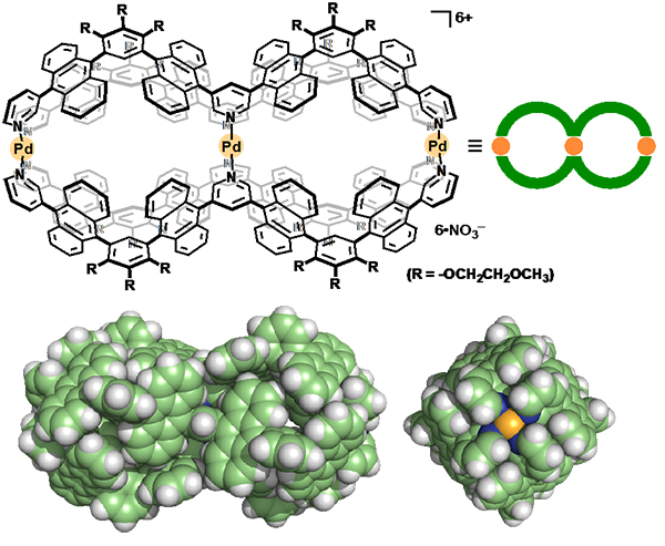 分子ダブルカプセル1とそのX線結晶構造解析（正面および側面；Rは省略）
