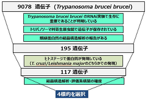 iNTRODBを用いた創薬標的決定の流れ