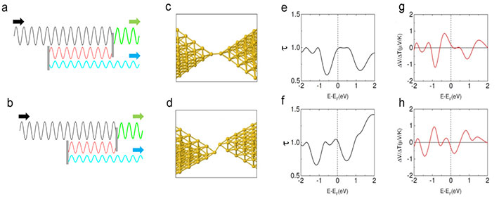 a）Au原子接点における電子波の干渉の様子。接合をそのまま透過する電子波と、接点近傍の欠陥により2回散乱された電子波が干渉する。（b）接点近傍の欠陥の間隔を変えた場合の干渉の様子（c,d）異なる構造をもつAu原子接点のモデル構造（e,f） Au原子接点における電子の透過率のエネルギー依存性（g,h） Au原子接点における熱起電力のエネルギー依存性。フェルミ準位における透過率曲線のエネルギー微分に対応する