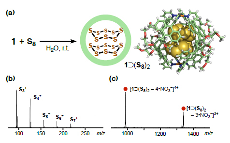 （a）分子カプセル1による2分子の環状S8クラスターの内包とそのX線結晶構造。（b）S8クラスター単独の質量分析（MALDI-TOF MS）スペクトルと（c）内包体の質量分析（ESI-TOF MS）スペクトル。