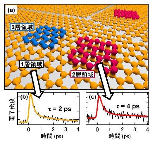 （a）グラフェンの模式図。（b）、（c）時間分解光電子顕微鏡（TR-PEEM）による測定結果。