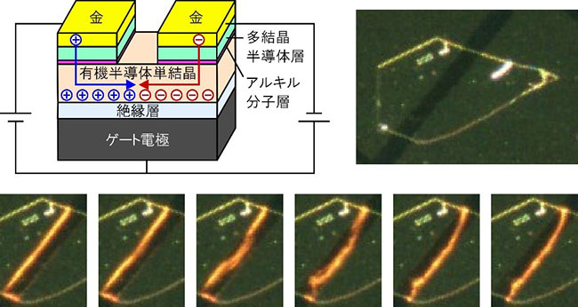 新しい電極の電界発光素子への応用。上：素子構造、下：上から見た発光の様子。