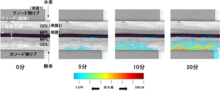 図1. 可視化された反応生成液水の時間変化（発電中の燃料電池内）