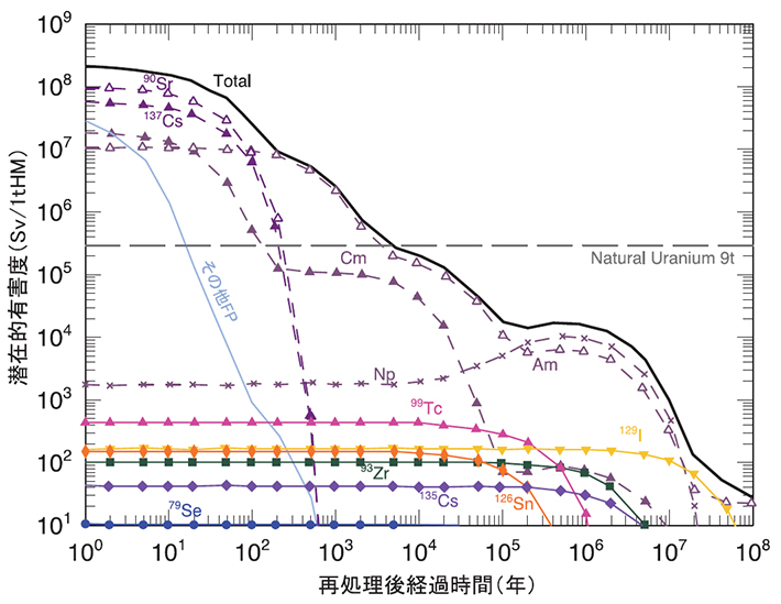 長寿命核種の潜在的毒性変化