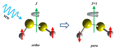 S2Cl2分子のマイクロ波によるオルト-パラ遷移