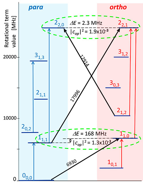 S2Cl2分子の回転準位と観測されたオルト-パラ遷移