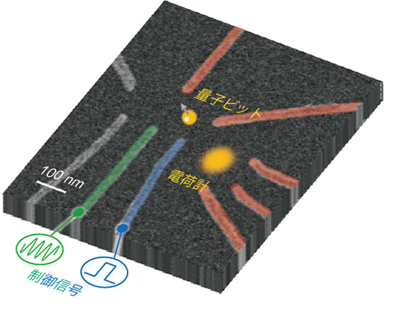量子ドット素子（概念図）