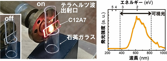 ジャイロトロンより生成したテラヘルツ波（出力：約50 W）を照射したC12A7単結晶。試料ホルダーの石英ガラスにも同様に照射されていますが、発光はC12A7のみで起こっていることが確認できます。テラヘルツ波の照射を停止すると発光も速やかに停止します。右は発光のスペクトルです。可視光領域で発光していることが分かります。