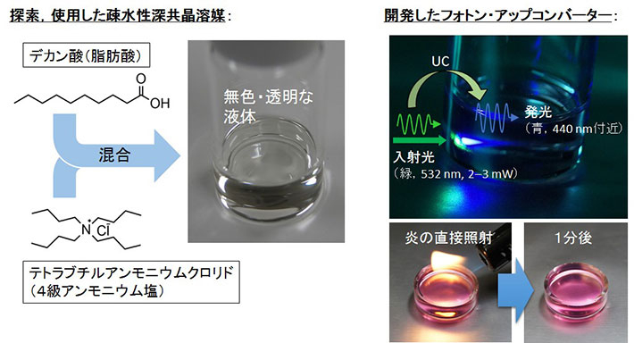 本成果に用いた疎水性深共晶溶媒と開発したフォトン・アップコンバージョン試料。