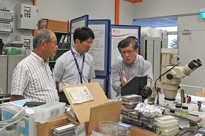 Tokyo Tech delegates and Professor Chan Siew Hwa (right), co-director of NTU's Energy Research Institute (ERI@N)