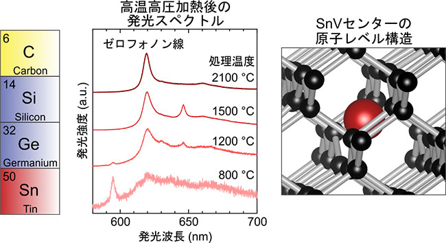 ダイヤモンド中のSnVセンター。（左）IV族元素の周期表。（中央）高温高圧加熱処理後のSnVセンターからの発光スペクトル。（右）SnVセンターの原子レベル構造。赤丸と黒丸はそれぞれスズ原子と炭素原子。