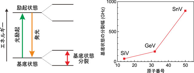 SnVセンターの微細構造およびエネルギー分裂幅。基底状態はスピン-軌道相互作用により分裂する。大きな元素ほどスピン‐軌道相互作用が大きくなるために分裂幅も大きくなる。