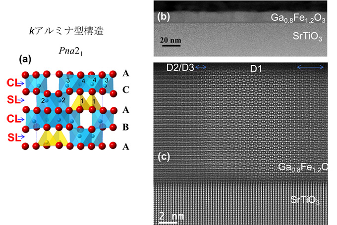 κアルミナ型構造（a）と同構造を持つGa0.8Fe1.2O3の走査型電子顕微鏡像（b、c）。（c）での明るい点が陽イオンを示し、（a）に示す結晶構造に一致している事が分かる。