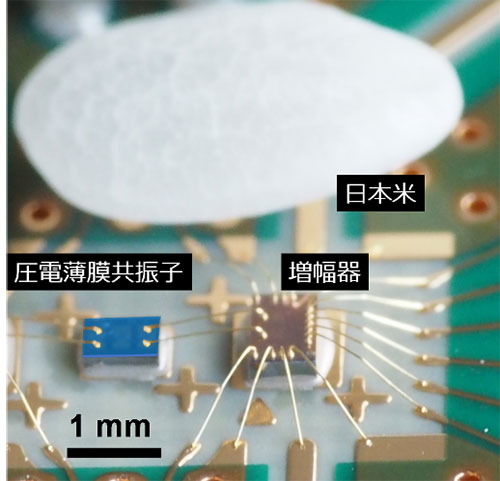 図1. 圧電薄膜共振子を用いた発振器の写真