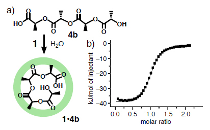 （a）水中でのナノカプセル1による乳酸4量体4bの内包と（b）その等温滴定型熱量（ITC）測定。