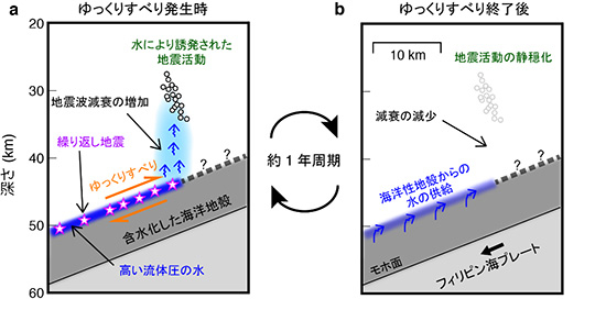  （a） スロースリップ発生時と（b）スロースリップ終了後の解釈図