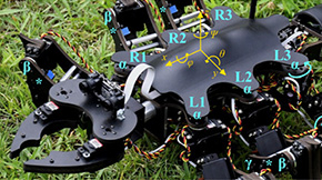 Tokyo Tech's six-legged robots get closer to nature